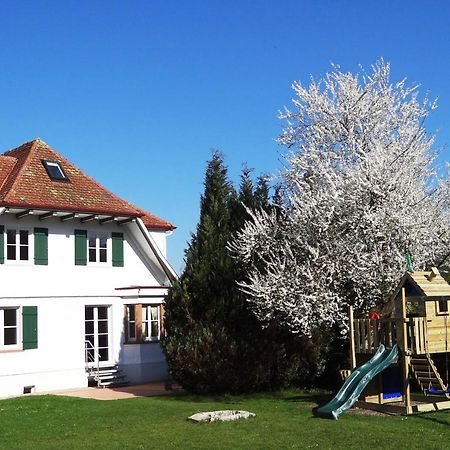 Schwarzwaldhaus24 - Ferienhaus Mit Sauna, Whirlpool Und Kamin Gemeinde Gemeinde Aichhalden Buitenkant foto